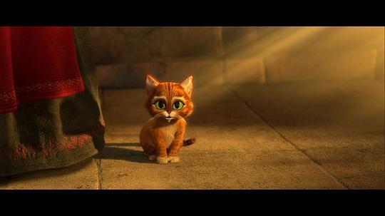 穿靴子的猫电影在线观看,魔法冒险之旅在线观影指南 第3张 穿靴子的猫电影在线观看,魔法冒险之旅在线观影指南 第3张